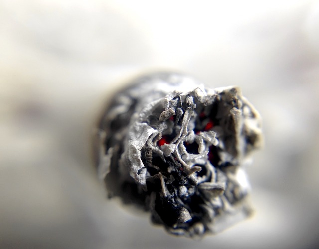 Cigarety nejsou zdravé. 
