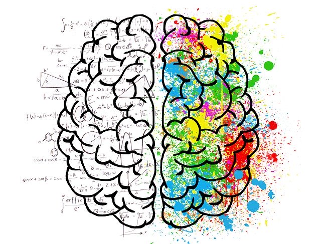 dvě hemisféry mozku
